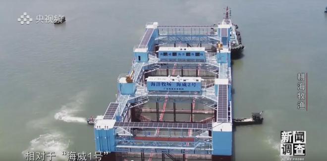 央視《新聞?wù){(diào)查》重磅聚焦，湛江水產(chǎn)養(yǎng)殖“游”向深遠(yuǎn)海